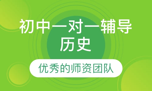初中一对一辅导历史