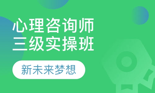 心理咨询师三级高端专项实操班