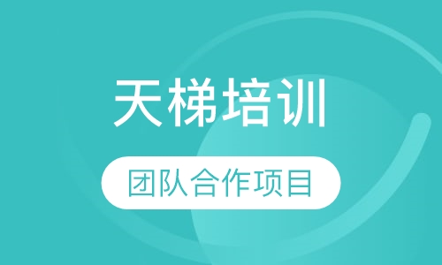 天梯培训