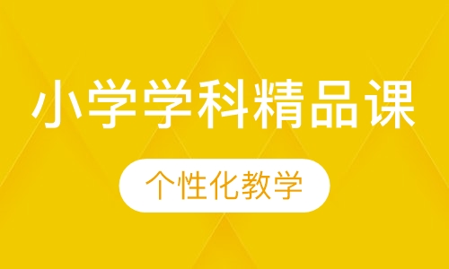 小学学科精品课
