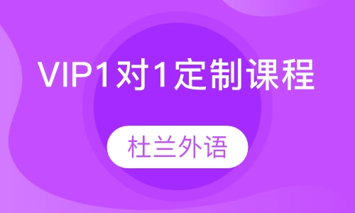 VIP1对1定制课程