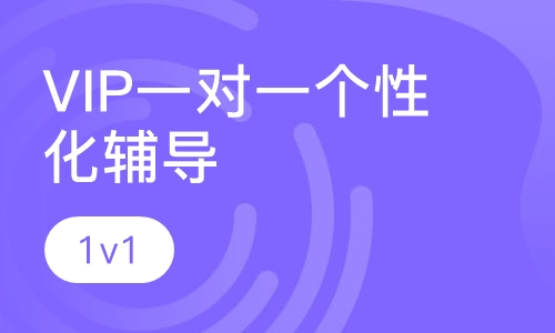 上站VIP一对一个性化辅导