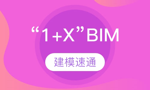 “1+X”BIM建模速通班