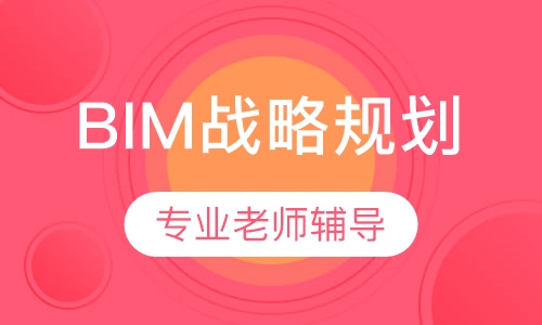 BIM战略规划 （取证＋实操班）