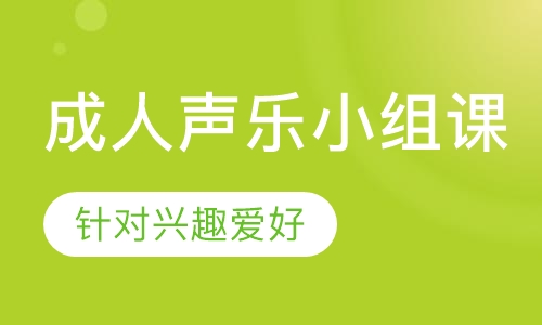 成人声乐小组课