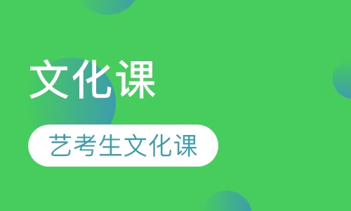 艺考生文化课