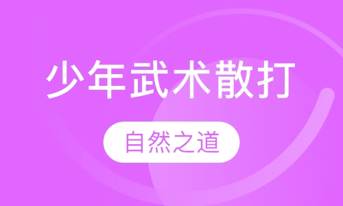 少年武术散打