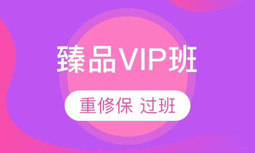 臻品VIP班