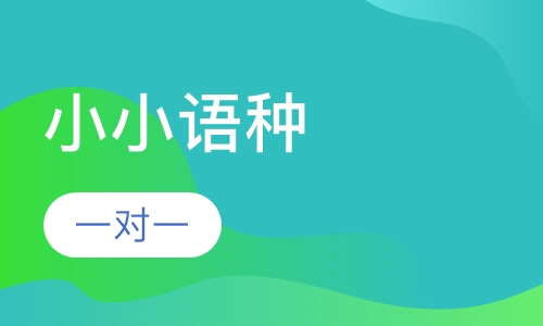 小小语种