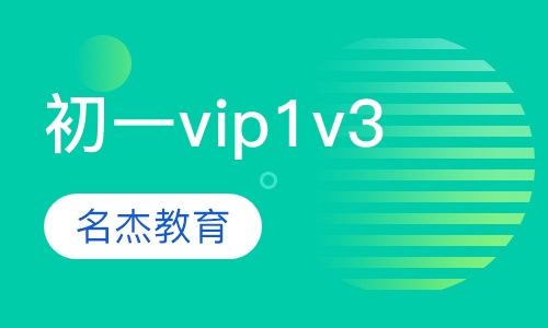 初一vip1v3