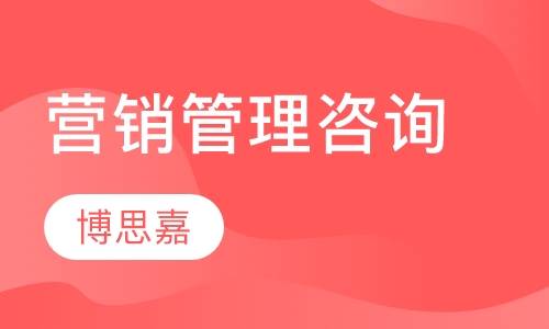 营销管理咨询项目