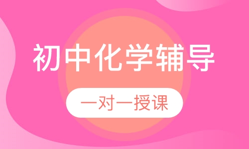 初中一对一化学辅导