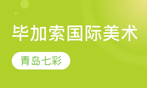 毕加索国际美术