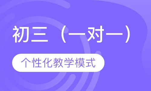 初三（一对一）