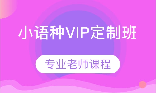 小语种VIP定制班
