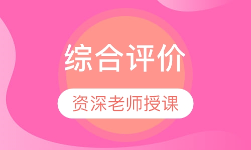 综合评价