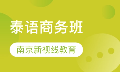 南京新视线泰语商务班 随到随学