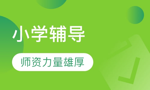 小学辅导