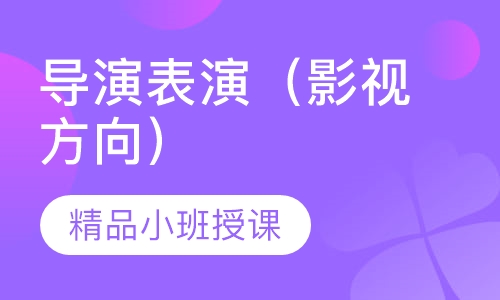 导演表演（影视方向）