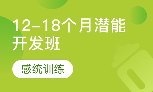 12-18个月潜能开发班