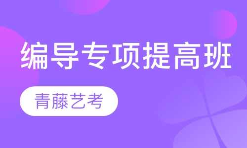 编导专项提高班