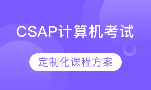 CSAP: AP计算机科学考试辅导