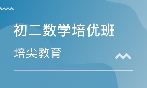 初二数学培优班