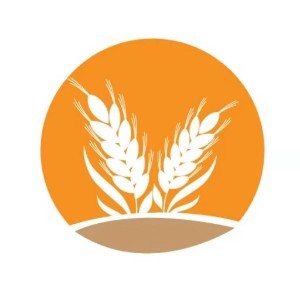 麦朵美院教育科技