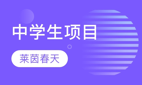 中学生项目