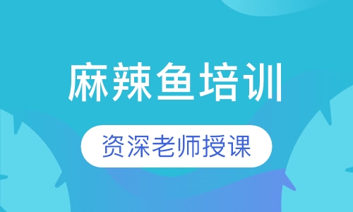 麻辣鱼培训