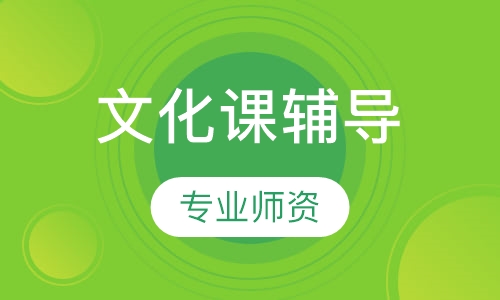 文化课辅导