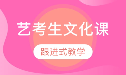 艺考生文化课保分班