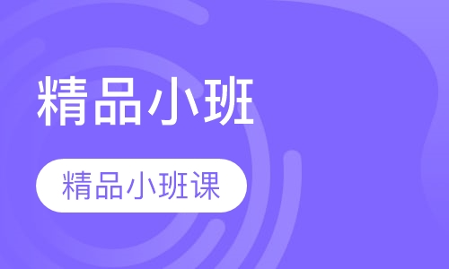高中物理精品小班