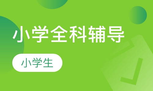 小学名师一对一全科辅导