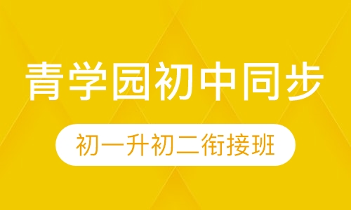 （青学园初中同步）初一升初二衔接班