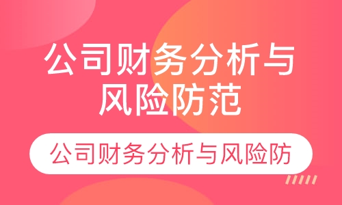 公司财务分析与风险防范