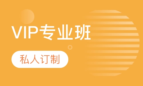 VIP专业班