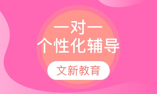 一对一个性化辅导