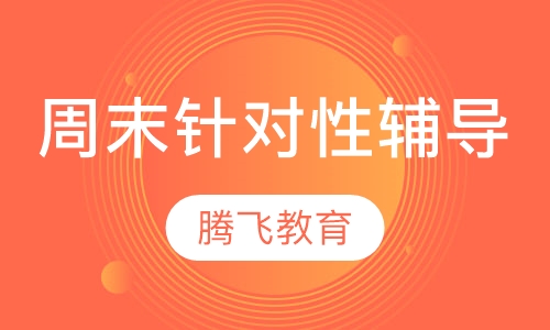 周末针对性辅导班