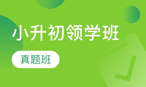 小升初领学班