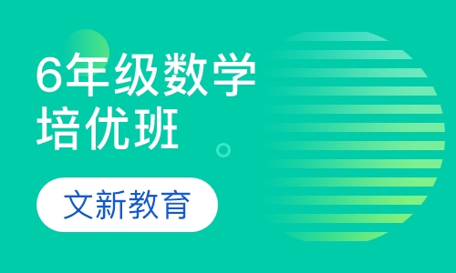 6年级数学培优班