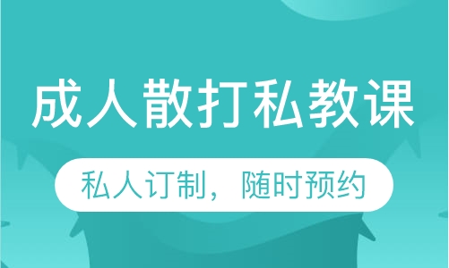 成人散打私教课