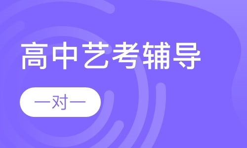 高中一对一艺考辅导