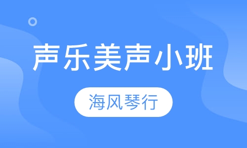 声乐培训美声小班