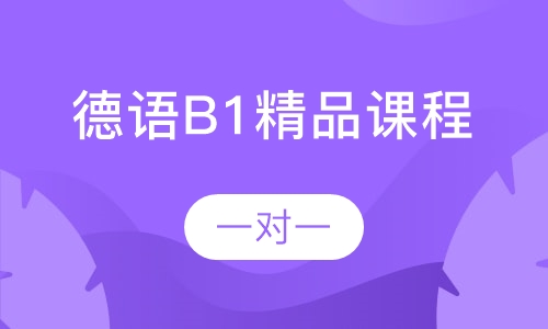 德语B1一对一