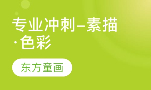 专业冲刺-素描·色彩