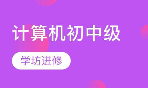 计算机初中级