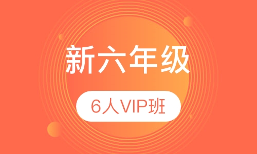 新六年级6人精品VIP班