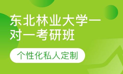 直播课东北林业大学一对一考研辅导班