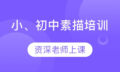 小、初中素描培训